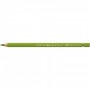 Albrecht Dürer watercolour pencil green earth yellowish